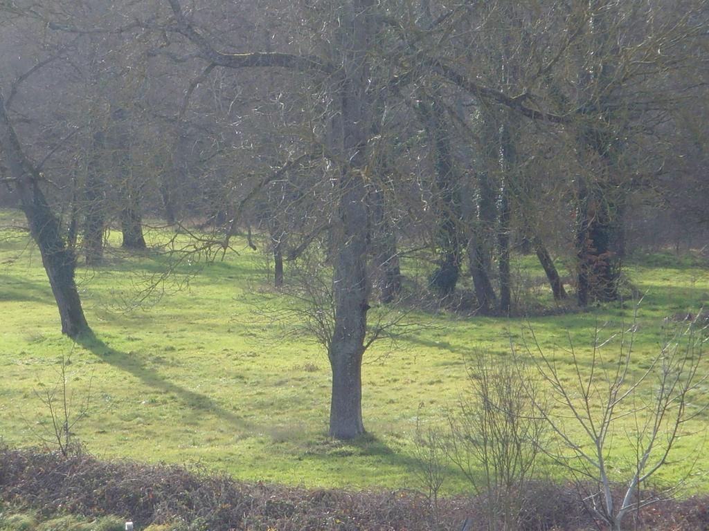 Le Bravard 3*